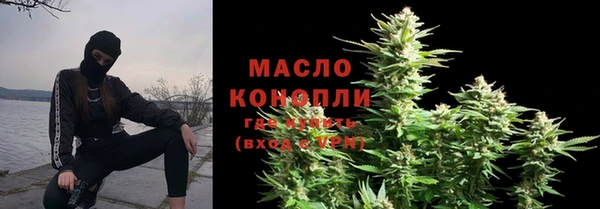 крисы Кулебаки