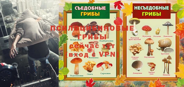 ALPHA PVP Куйбышев