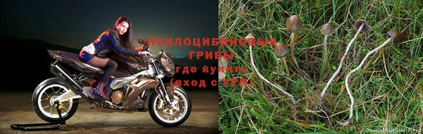 первитин Краснотурьинск