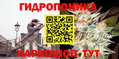каннабис Камышлов