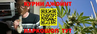 молекула духа Волжский
