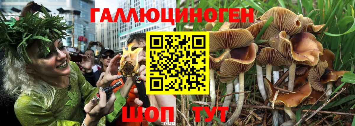 наркошоп  Вход с VPN  Кулебаки  Галлюциногенные грибы Cubensis 